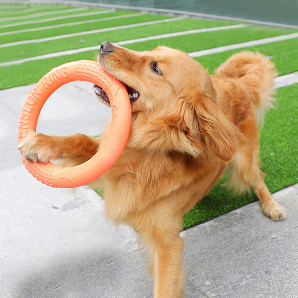 Flying Disc Dog Training Toy - 1 ، ألعاب كلاب برتقالية اللون