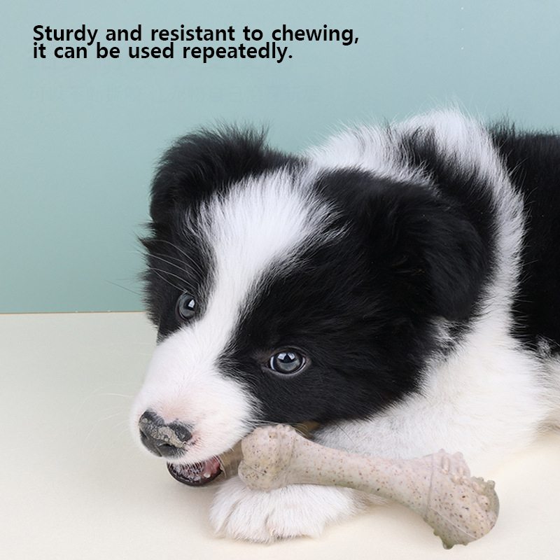 ألعاب للحيوانات الأليفة، عظام  - مراجعة Teeth Cleaning Dog Chew Bone وسعره