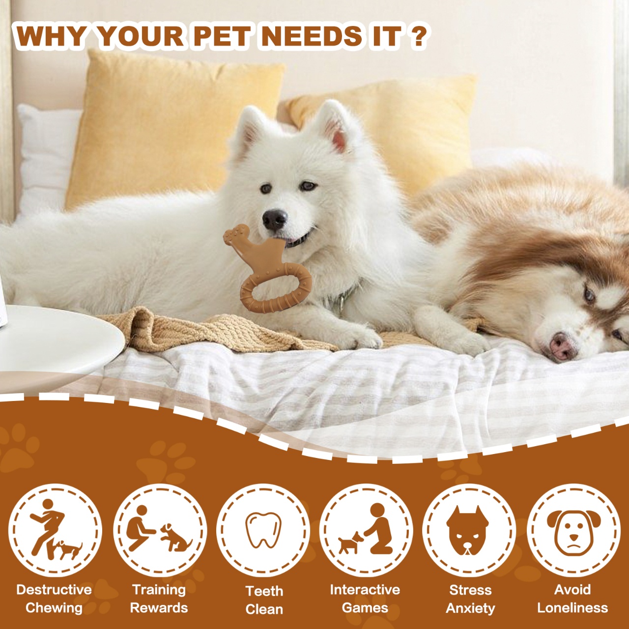 لعبة مضغ تفاعلية للكلاب على شك - مراجعة Teeth Cleaning Dog Chew Bone وسعره