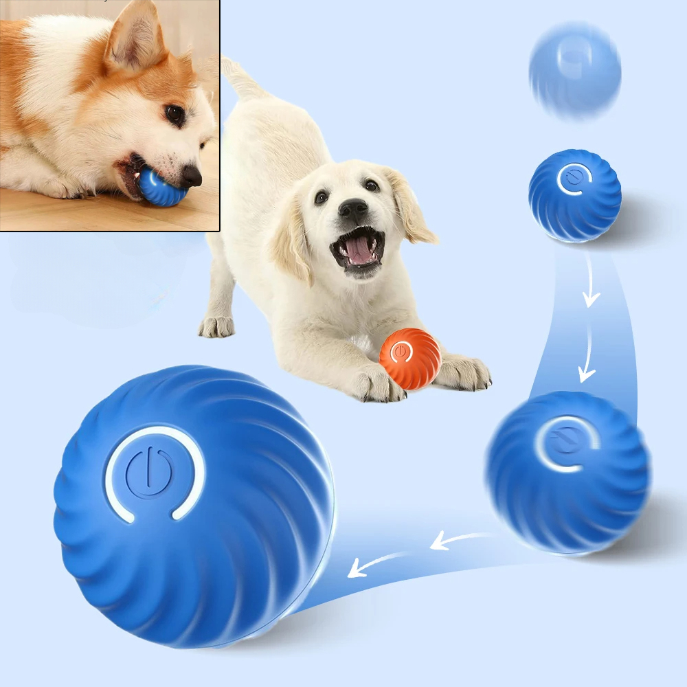 كرة لعبة للكلاب تتحرك تلقائيًا - مراجعة Automatic Moving Dog Ball وسعره