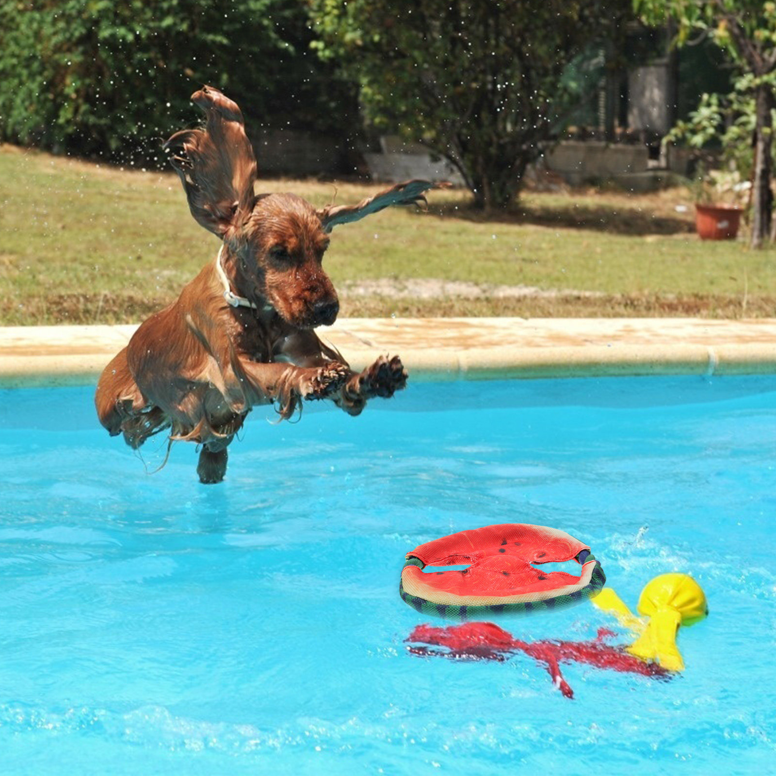 1 قطعة لعبة قرص طائر على شكل ب - مراجعة Flying Disc Dog Training Toy وسعره