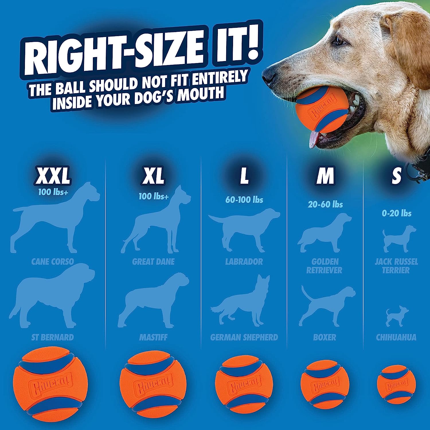 تشوككيت الترا الكرة الكلب لعبة - مراجعة Indestructible Dog Chew Toy وسعره