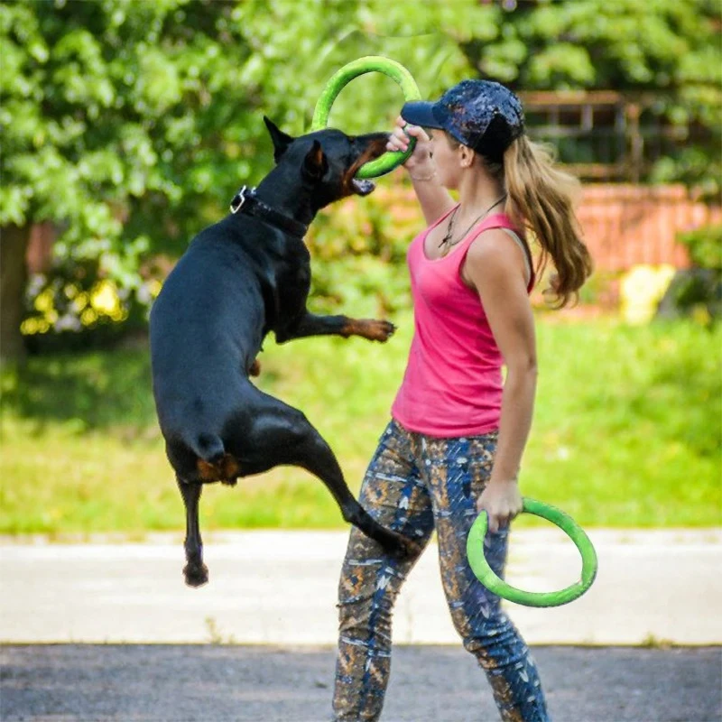 أقراص تحلق إيفا الكلب التدريب  - مراجعة Indestructible Dog Chew Toy وسعره