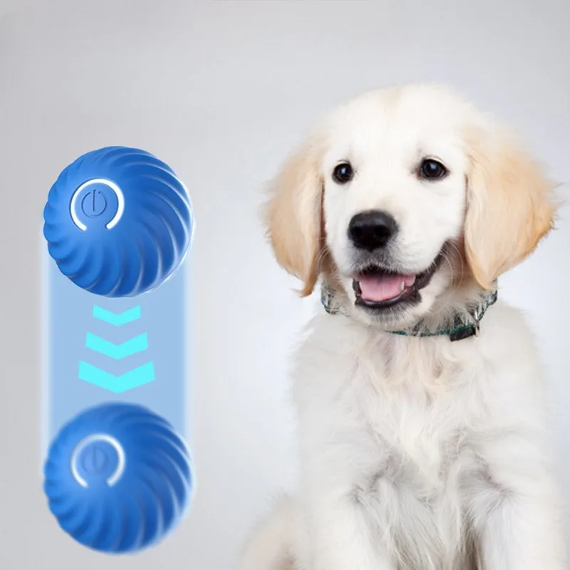 @1G-كرة لعبة للحيوانات الأليفة - مراجعة Automatic Moving Dog Ball وسعره