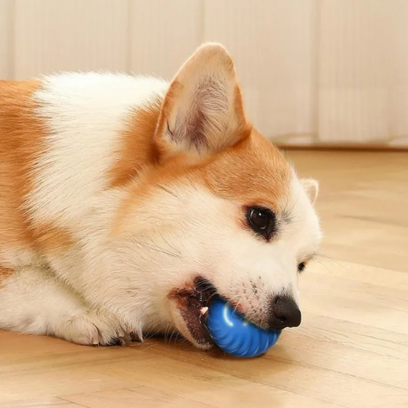 @1G-كرة لعبة للحيوانات الأليفة - مراجعة Automatic Moving Dog Ball وسعره