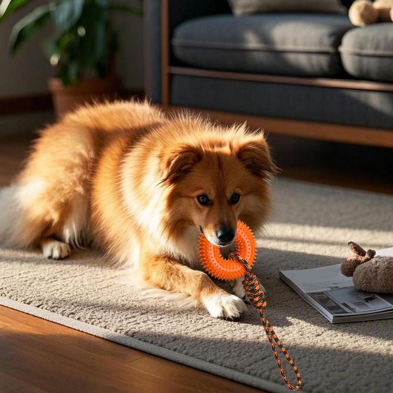 ألعاب صار للكلاب حلقة شائكة لل - مراجعة Dog Rope Toy Aggressive Chewers وسعره