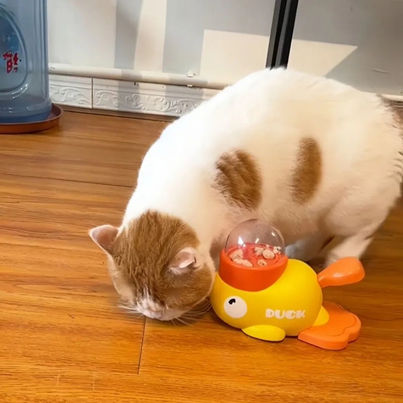 موزع طعام تفاعلي للقطط على شكل - مراجعة Dog Puzzle Feeder Toy وسعره