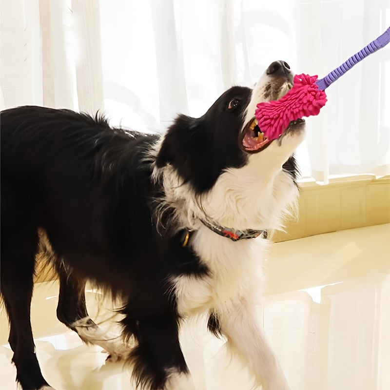 ألعاب متينة للكلاب للمضغ العدو - مراجعة Dog Rope Toy Aggressive Chewers وسعره