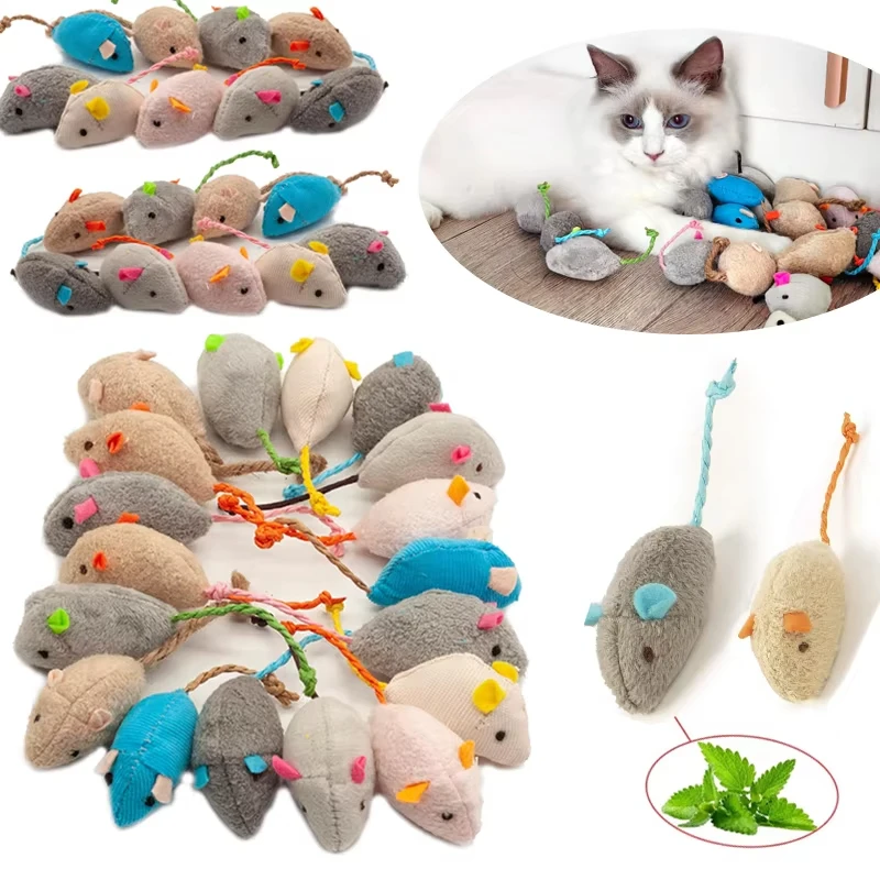 5 قطع ألعاب قطط على شكل فأر مع - مراجعة Catnip Interactive Plush Mouse وسعره