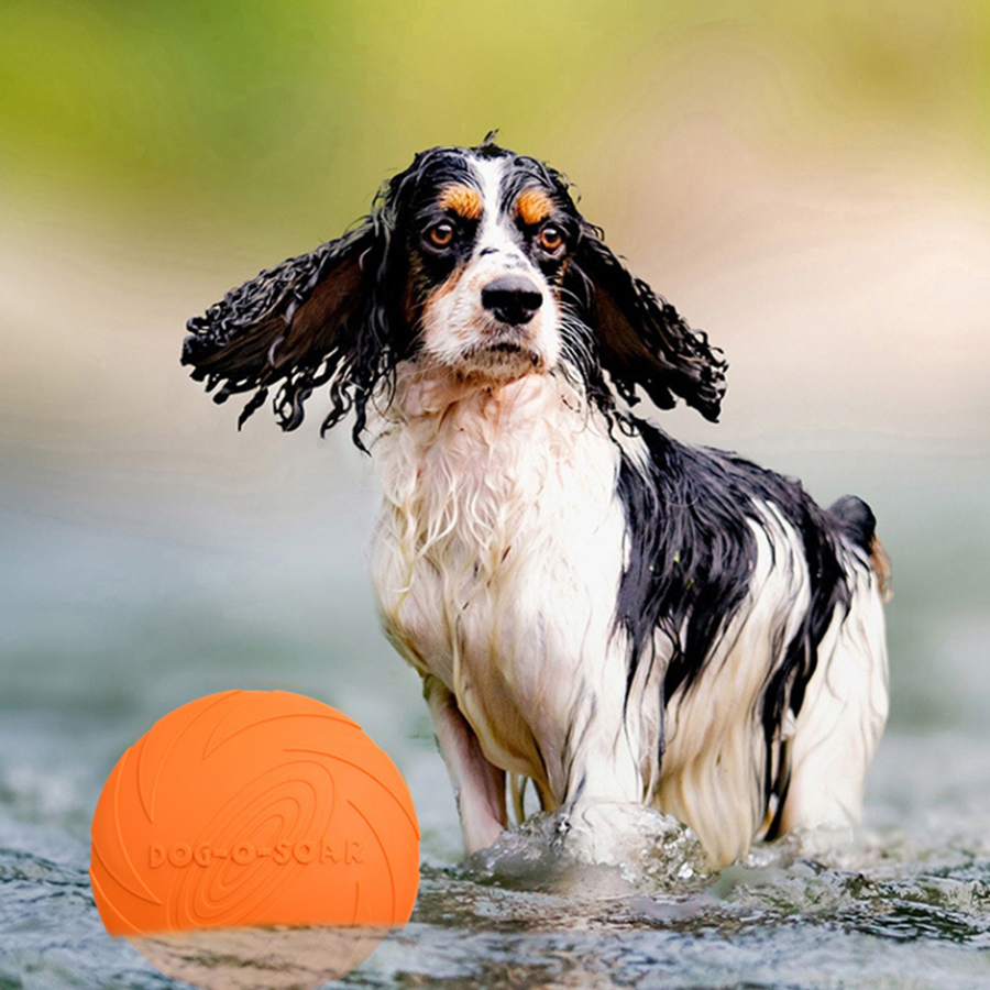 لعبة طبق طائر للكلاب الكبيرة ذ - مراجعة Flying Disc Dog Training Toy وسعره